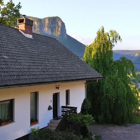 Spacious Apartment Bled Exterior foto
